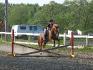 Entrainement du poney à l'obstacle (L)