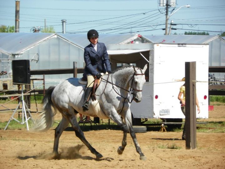 Belle engagement de mon poneyy :P