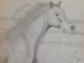 Ma cousine qui a fait le dessin d'ath&eacute;na en 2:00...