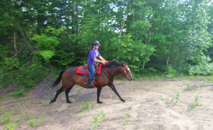 Galop dans le pit de sable !