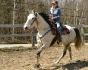 Super fiere de ma jument ! (L) Elle a permis a...