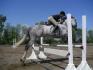 Irish cream sur un saut ^^