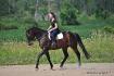 Mégane et mon cheval