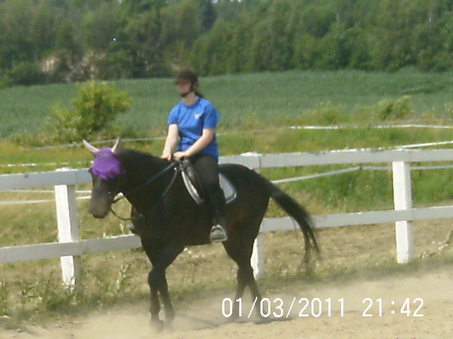 Hongre. ruby et moi pendant notre cours du 14-07-2012