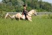 "God made men to be there for women. Then he made the horse...
