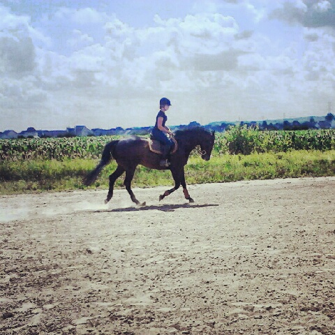 ti loup