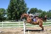 Moi et mon cheval White Socks, commentaires...