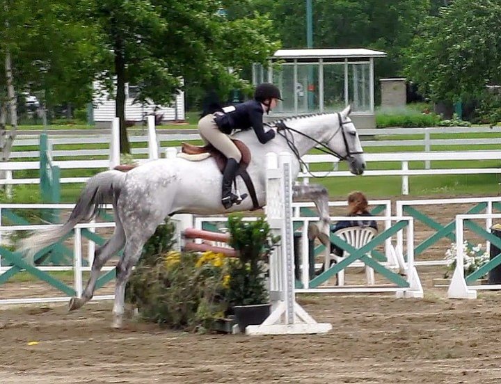Blainville 2012 avec mon beau Stuart :) - Photos de chevaux à l ...