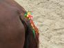Tresse <3 =)