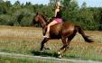 J'ai le meilleur cheval du monde <3
