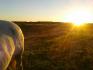 Coucher de soleil avec ma doudoune !