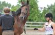 Equestrian et son beau Arkoz ! - 11 ao&ucirc;t 2012