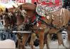 Festival western de St-Tite, la parade :)