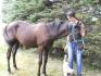 mon poulain Painted Quincy Robin 1 ans 3 mois, fais des années...