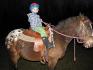 un petit garçon de 4ans qui monte mes chevaux !...