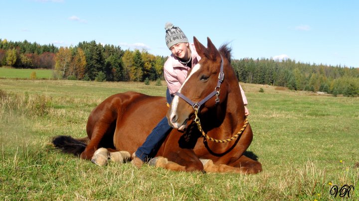 Mon bébé & Moi (L)