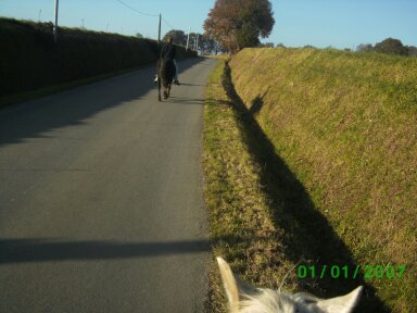 En route vers l'ecurie ^