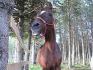 mon beau prince qui s'amuse a faire des grimaces...