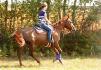 Une belle trail cet été, au galop dans le champ ! Oui je la...