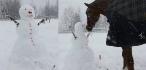 Le seul pr&eacute;dateur d'un bonhomme de neige, compos&eacute;...