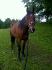 Kelly :)