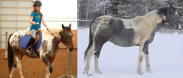 Hye.. trouver vous qu'il se resemble =O jaimerait bien savoir a...