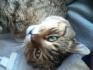 Mon bb de 4 ans qui est relaxe :)