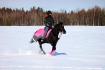Galop dans le champs <3