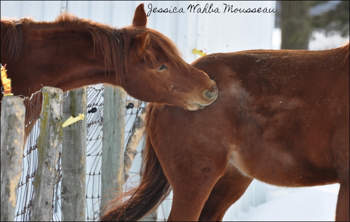 Wapi et son nouvel ami !