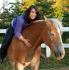 Cristal, ma jument haflinger