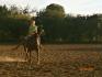 fin de baril