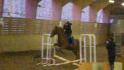 Moi au Challenge CSO avec Lucky