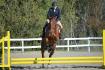 moi et ma ptite giraffe a nos debut de saut :)...