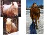 Abby. Petit changement de rien ahah :) Qu'elle...