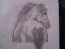 Quand on a rien à faire , on dessine <3