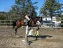 Seance de saut avec ma jument, excuser ma jambe!...