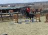 Un mini saut avec poney Georgio enfin dehors ! :) Désoler la...
