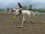 Hidalgo et moi en saut, cours du 11 mai 2013
