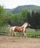 Lady au grand air