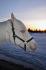 haha ma princesse cette hiver qui a pas l'air certaine du flash 