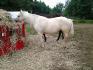 Ma grosse doudoune qui mange :D