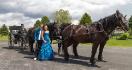 Le carrosse de Cendrillon et du Prince charmant !...
