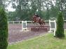 Fantasia 23 juin 2013