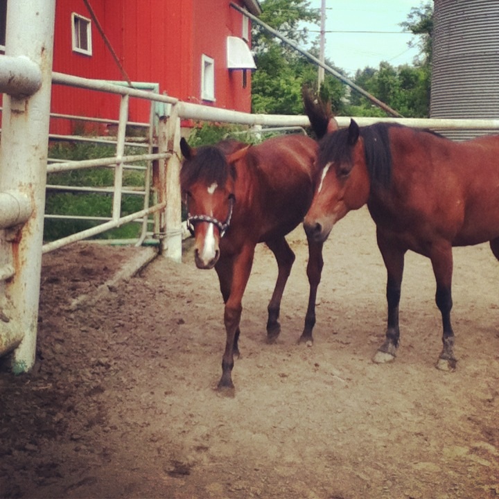Obrien et sa nouvelle blonde Maggy :)