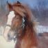 C'est Duke, mon ancien cheval :)