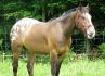 Le beau Kenan de lili206 :)