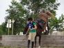 moi et Capitaine, TREC de mirabel 2013