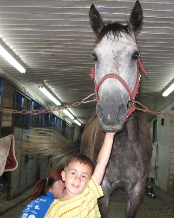 Vincent 5 ans avec Alizée qui est douce avec mes enfants !
