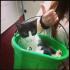 Maman chat dans son bucket :) 