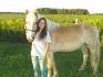 Un Haflinger exceptionelle <3 NoisetteGF